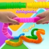 Pop Multi Color Tubes Sensory Toy